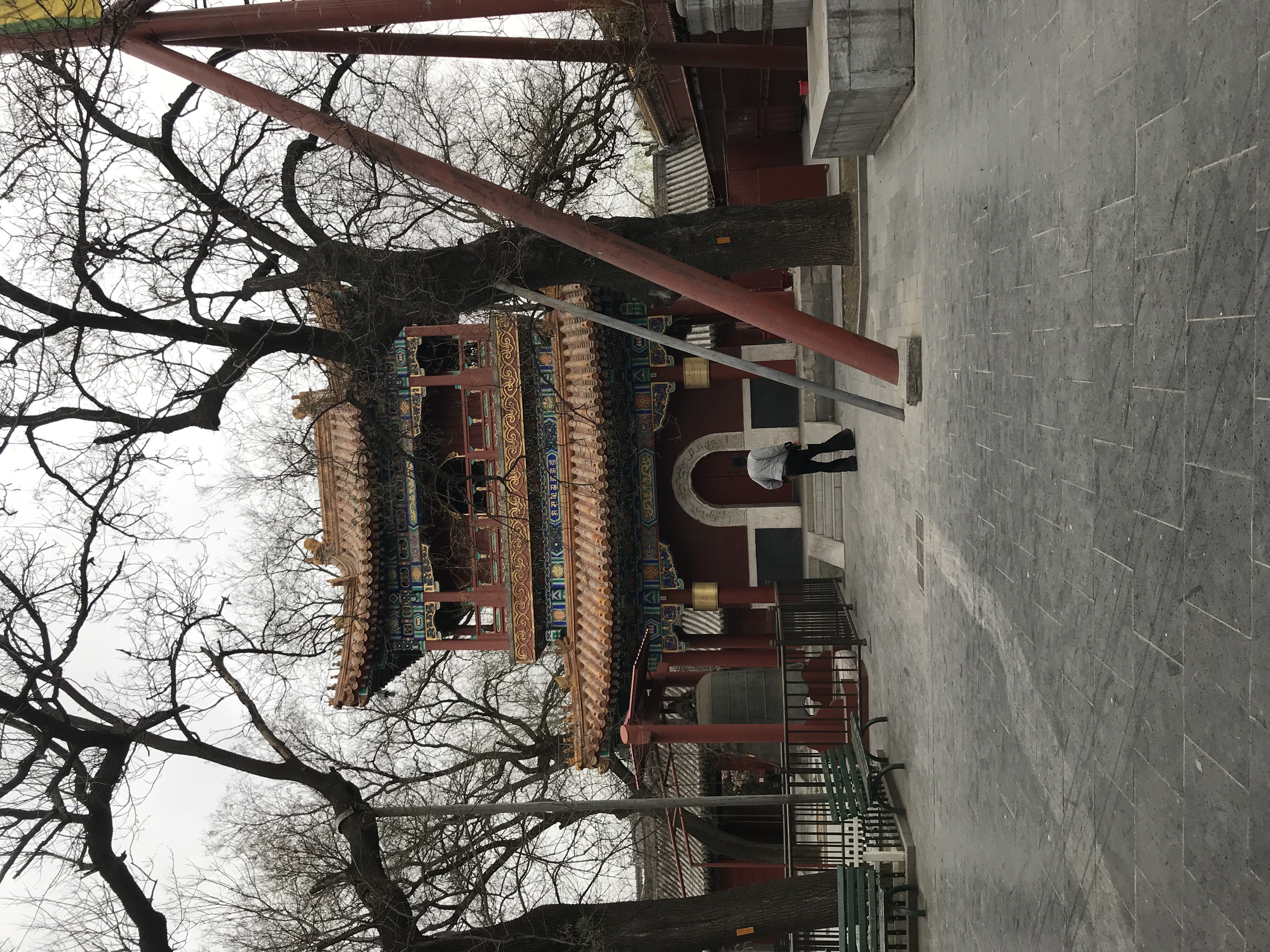 ./2018/03 - Viking China/07 - Lama Temple/IMG_5792.JPG